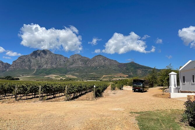 Franschhoek Wine Tram Tour With Private Transfer From Cape Town - Pricing and Offers