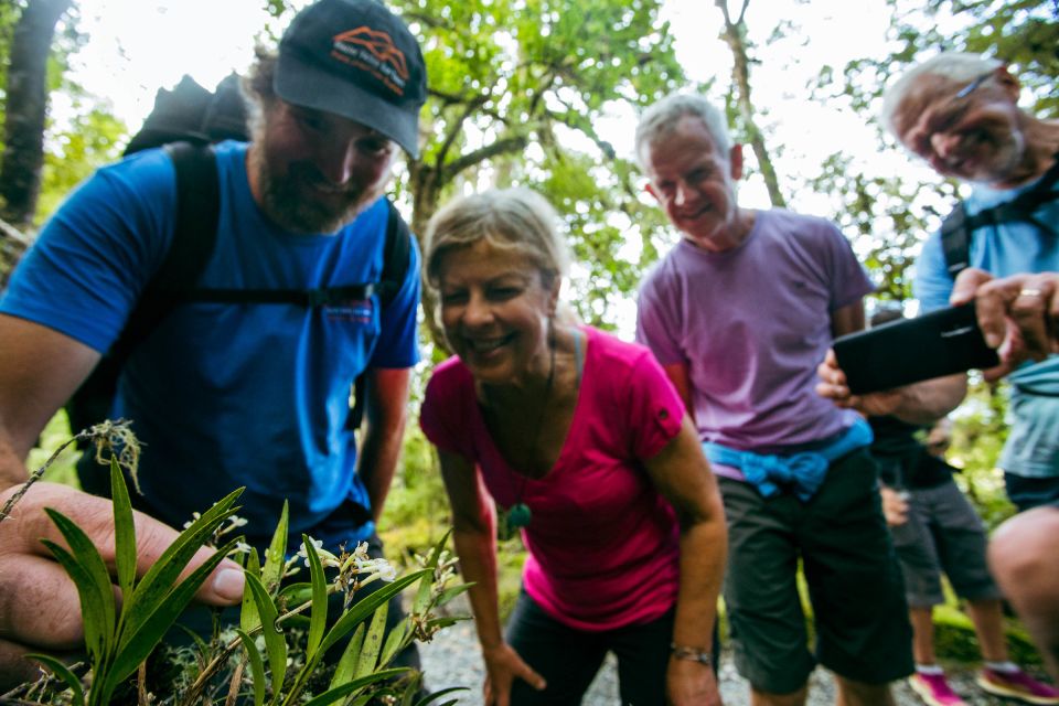 Franz Josef: Half-Day Nature Tour to Lake Matheson - Traveler Review