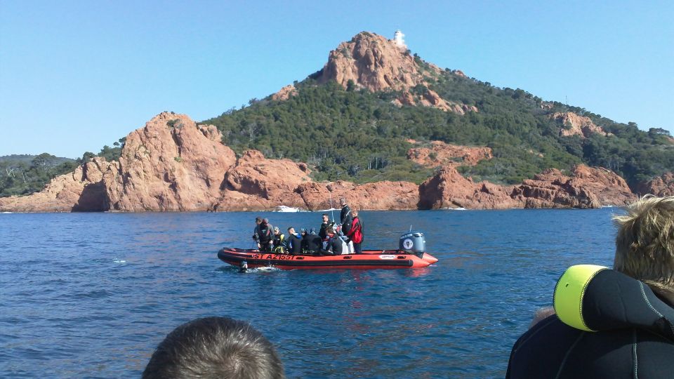 Fréjus: Diving Experience in Port-Fréjus With an Instructor - Customer Reviews