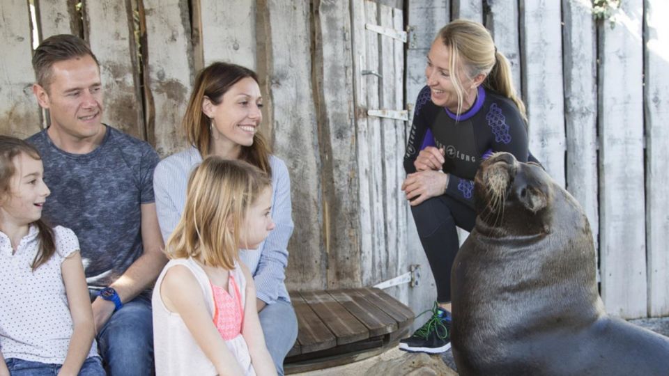 French Riviera: Marineland Entrance Ticket - Cancellation Policy