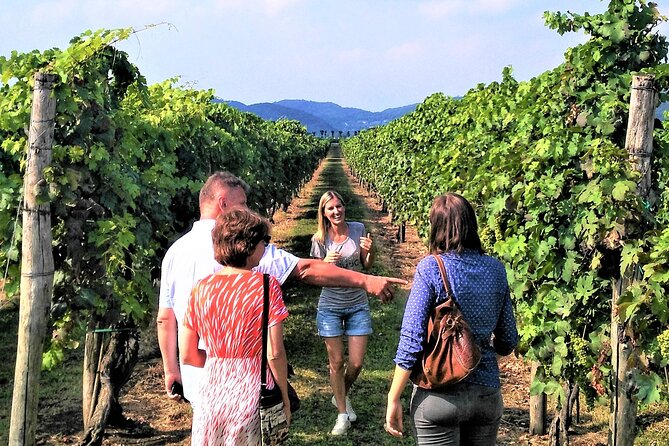 From Abano Montegrotto, Wine Tour in the Euganean Hills - Additional Information