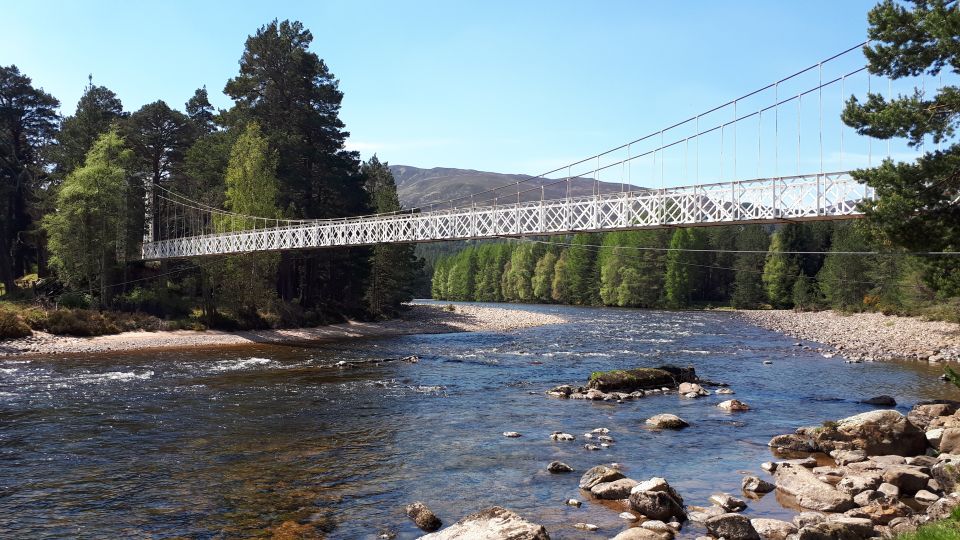 From Aberdeen: Balmoral Castle Estate and Royal Deeside Tour - Customer Reviews and Testimonials