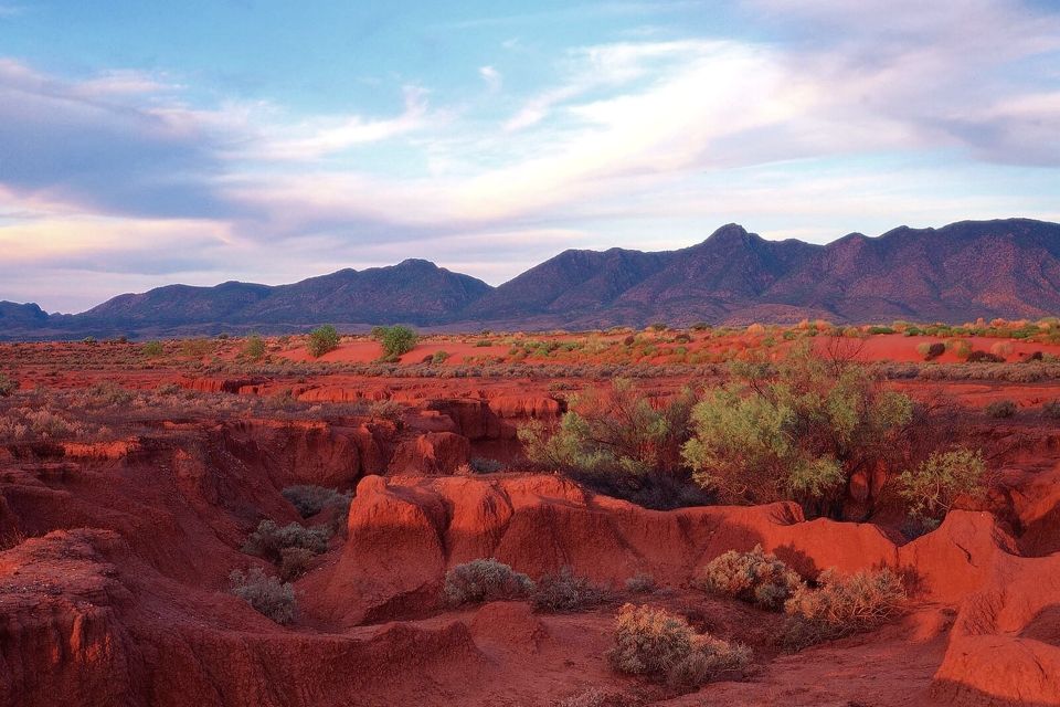 From Adelaide: 3-Day Flinders Ranges Small Group Eco Safari - Last Words