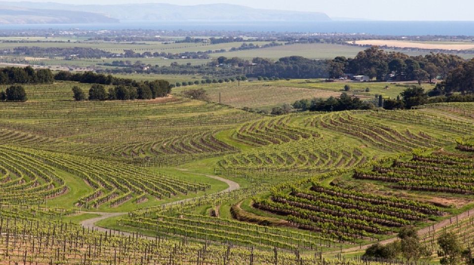 From Adelaide: McLaren Vale Winery Tour via Hahndorf - Itinerary Highlights