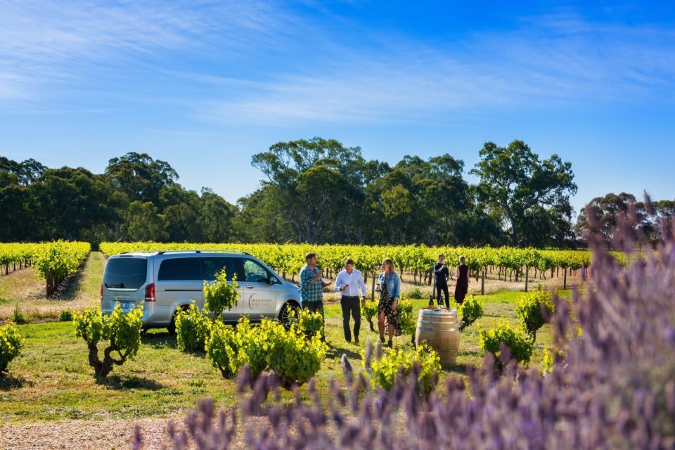 From Adelaide: Premium Barossa Wine Tour With Lunch - Customer Reviews