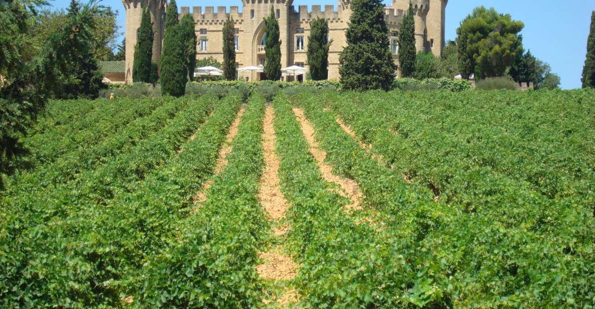 From Aix-En-Provence: Châteauneuf Du Pape Wineries Day Trip - Important Information