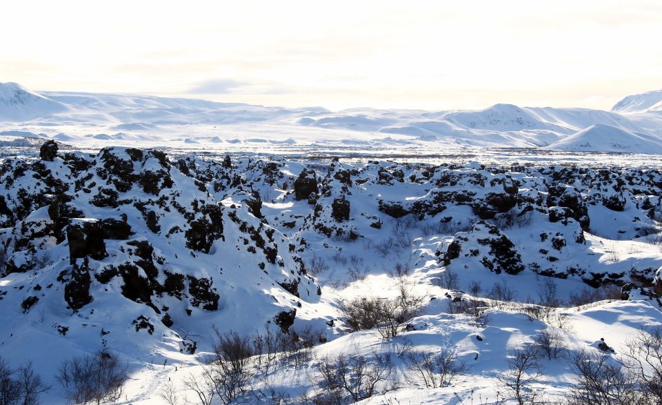 From Akureyri: Lake Mývatn Day Trip With Local Guide - Logistics