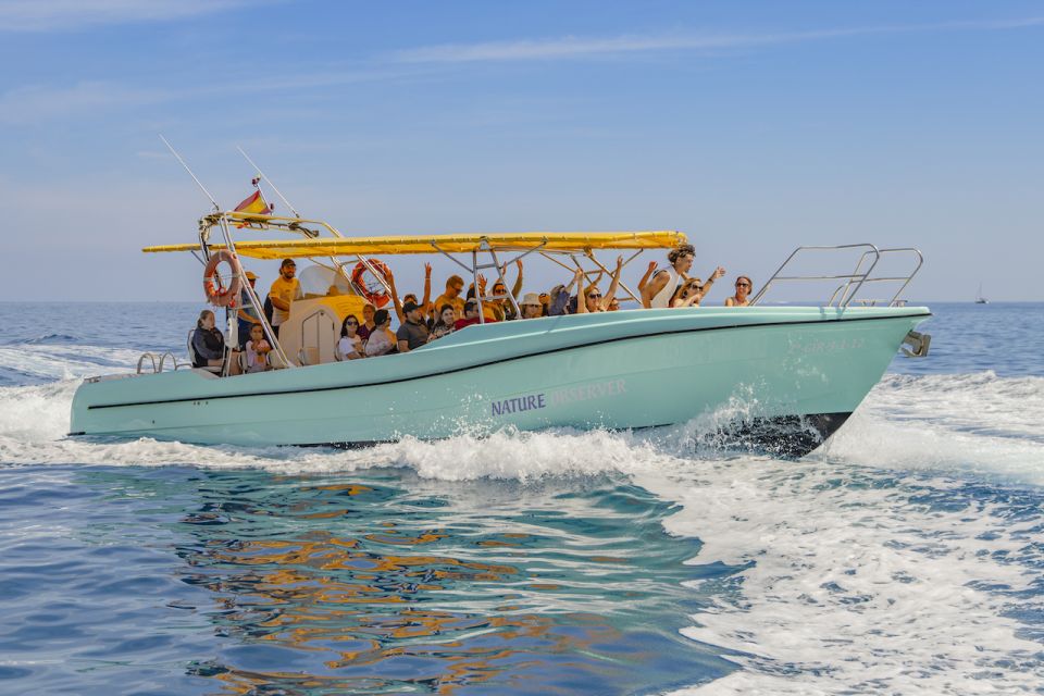 From Alcudia: Sunrise Dolphin Watching Boat Tour - Review Summary