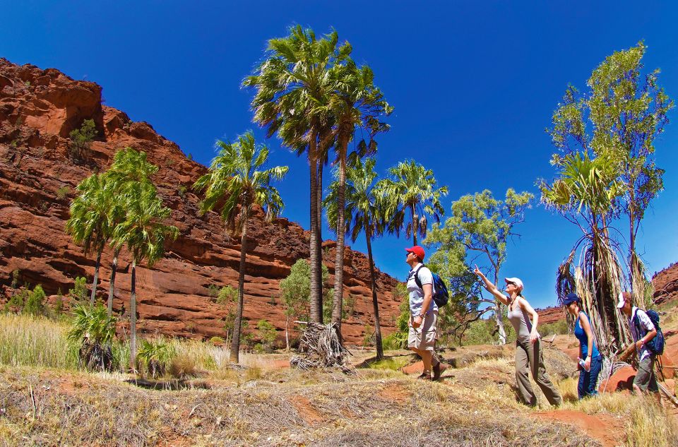 From Alice Springs: Palm Valley 4WD Outback Safari + Picnic - Common questions