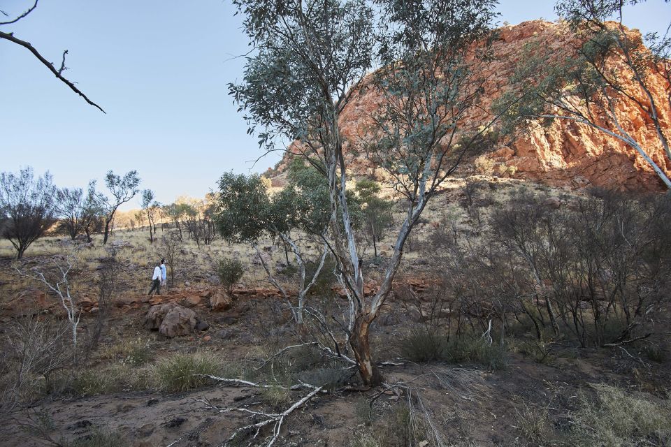 From Alice Springs: West MacDonnell Ranges Half Day Trip - What to Bring and Recommendations