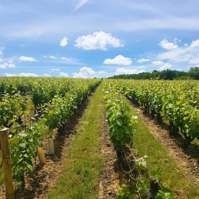 From Amboise: Villandry, Azay-le-Rideau & Winery - Directions