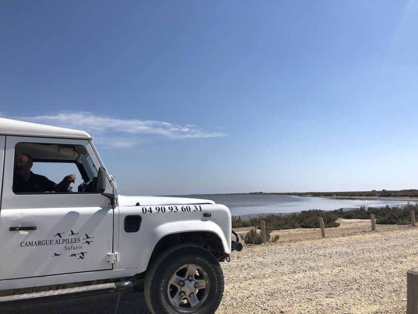 From Arles: Half-Day 4x4 Camargue Safari - Customer Reviews Summary