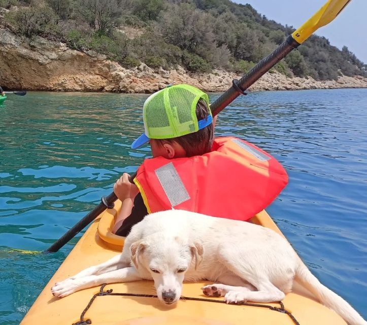 From Athens Sea Kayak Sunken City of Epidaurus - Inclusions