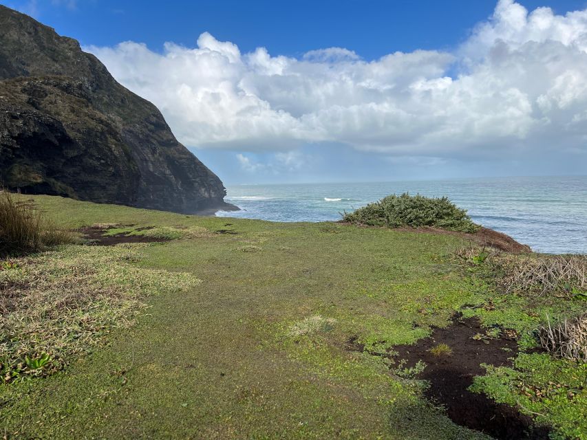 From Auckland: Guided Tour of Piha With Scenic Beach Walks - Inclusions