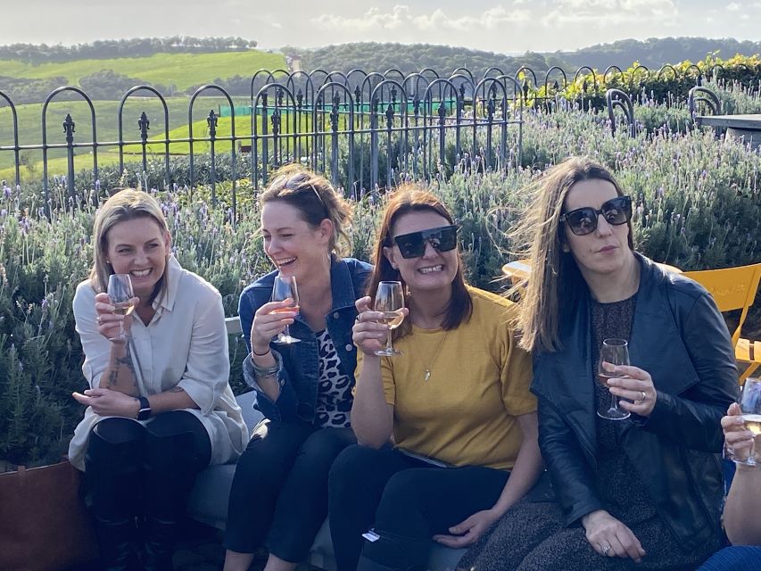 From Auckland: Waiheke Island Wine Cellar Tour - Customer Reviews and Ratings