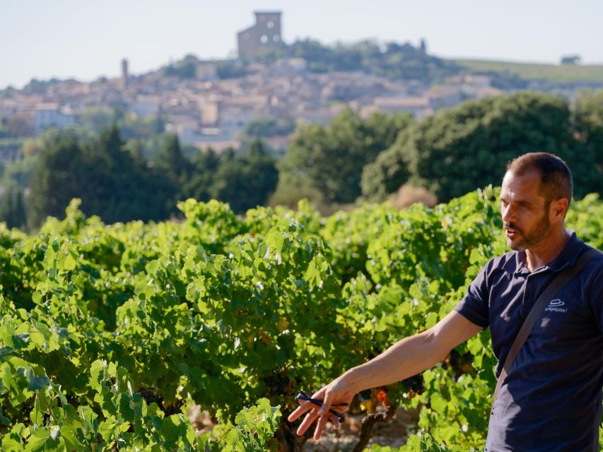 From Avignon : Afternoon Prestige Châteauneuf-du-Pape Wine - Booking Details and Cancellation Policy