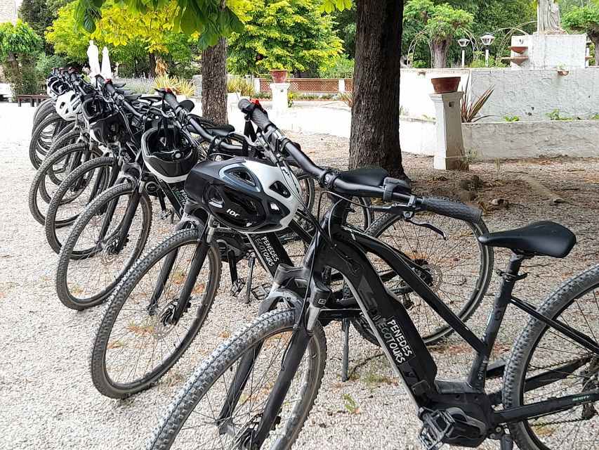 From Barcelona: Penedès E-Bike Tour With 2 Winery Visits - Meeting Point Info
