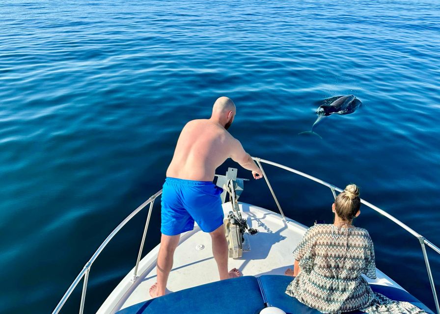 From Benalmádena & Torremolinos: Dolphin Watch Boat Trip - Itinerary Details