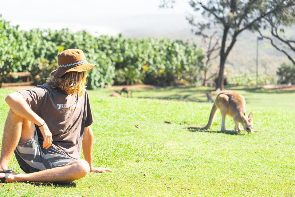 From Brisbane: Stradbroke Island Day Tour - Meeting Point