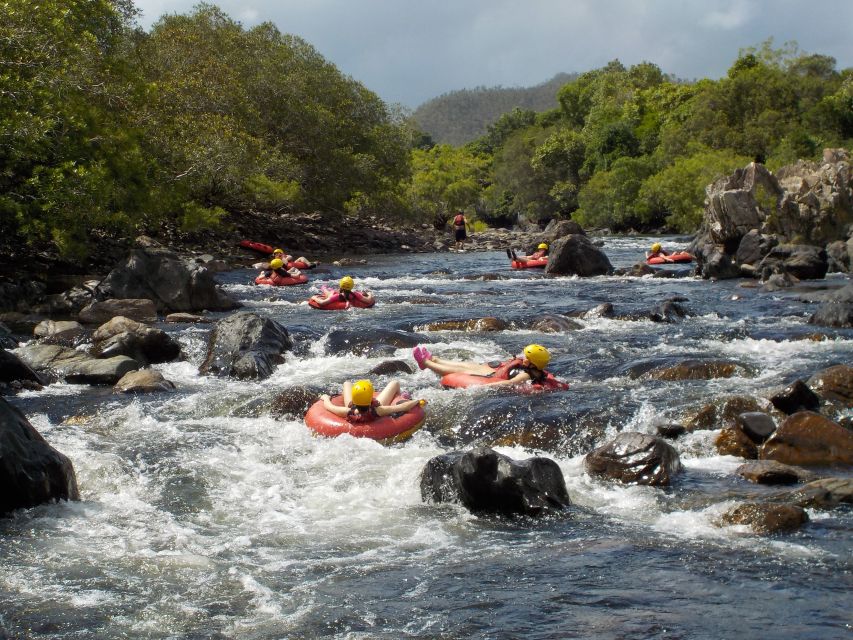 From Cairns and Northern Beaches: Rainforest River Tubing - Experience Highlights