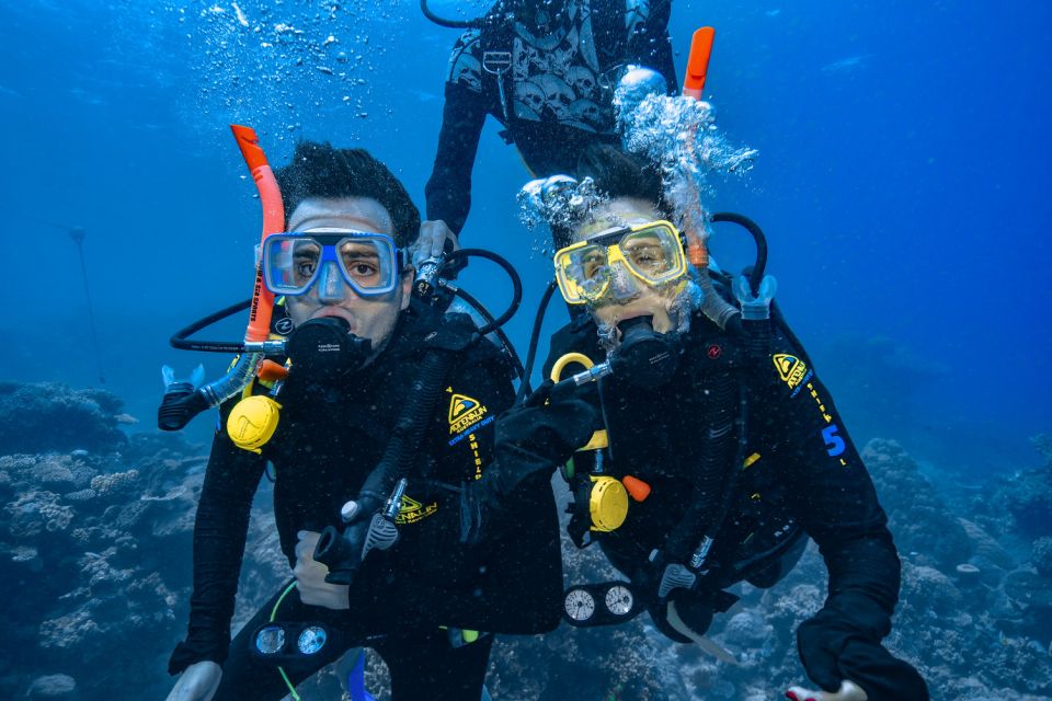 From Cairns: Great Barrier Reef Snorkeling Trip With Lunch - Meeting Point