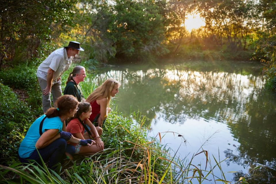 From Cairns: Rainforest & Nocturnal Wildlife Tour - Important Information