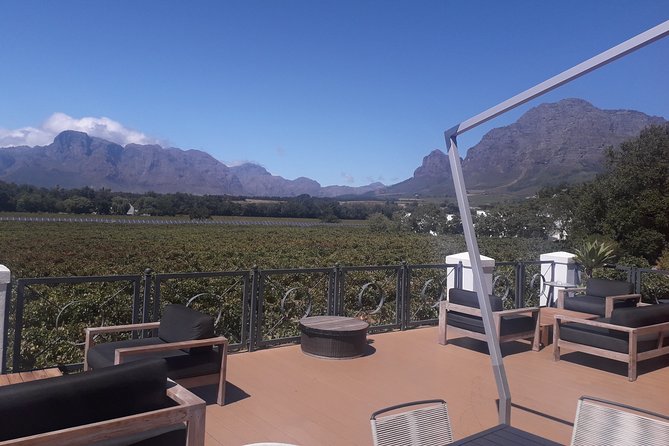 From CapeTown: Stellenbosch Half Day Wine Tour - Traveler Feedback