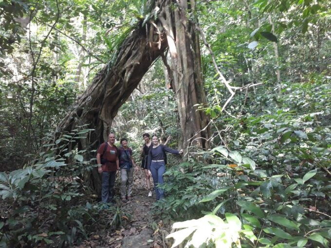 From Cat Ba Island:National Park Full Day Trekking& Kayaking - Immerse Yourself in Viet Hai Village