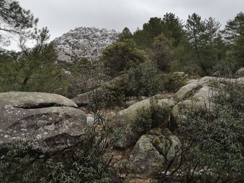 From Centro: Guadarrama National Park Private Tour - Highlights of the Tour