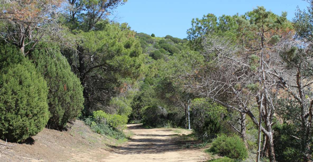 From Chia: Private Half-Day Ancient Roman Road Hiking Tour - Directions