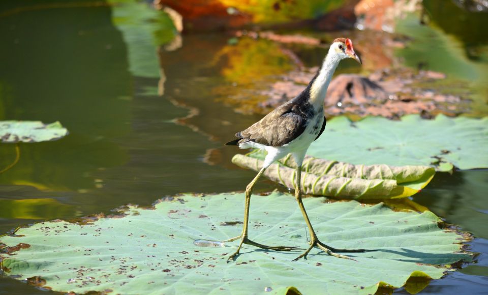 From Darwin: 2-Day Kakadu Tour With Hotel, Cruise & Rock Art - Policies and Refund Information