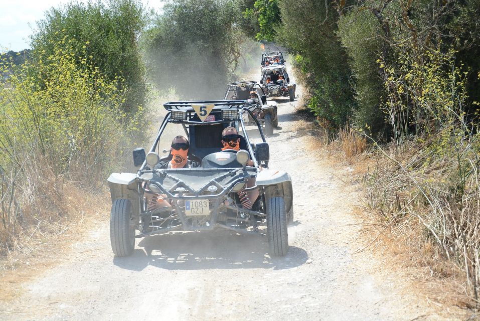 From East Mallorca: Guided Beach and Mountain Buggy Tour - Customer Feedback