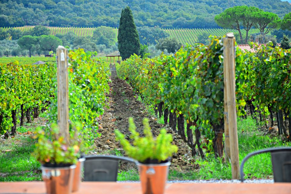 From Florence: Maremma Private Wine Tour and Suvereto - Inclusions