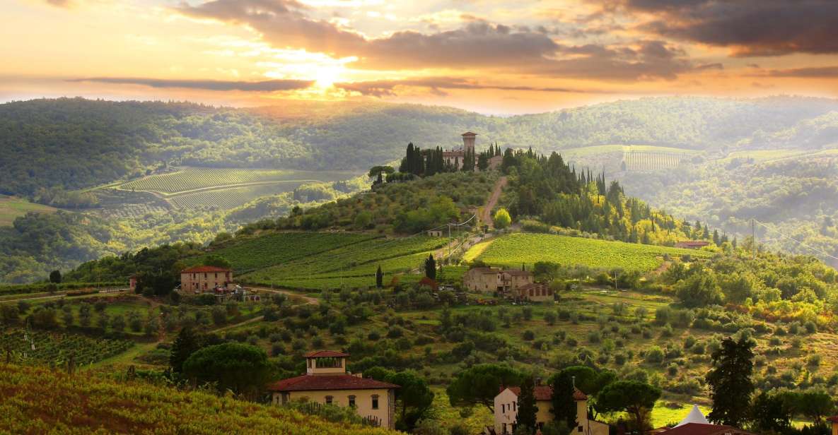 From Florence: Private Wine Tour With Dinner on an Estate - Inclusions