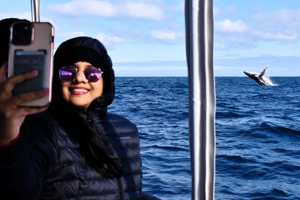 From Fremantle: 2-Hour Luxury Whale-Watching Cruise - Booking Information