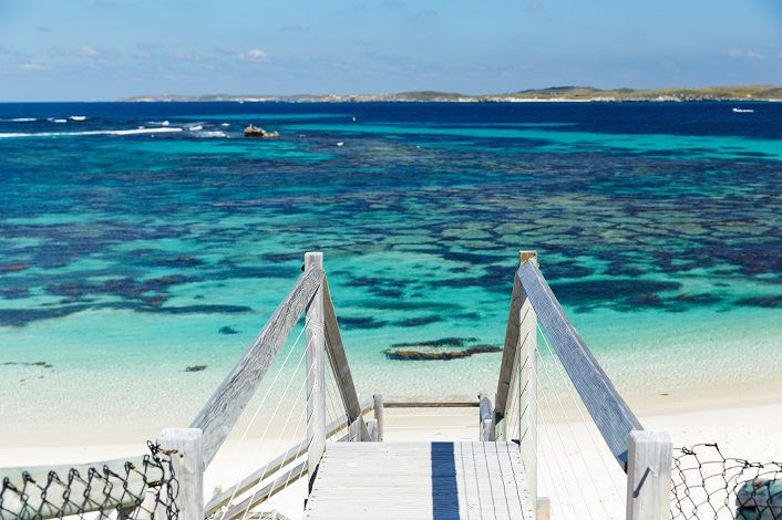 From Fremantle: Rottnest Island Ferry & Bus Day Tour - Important Information