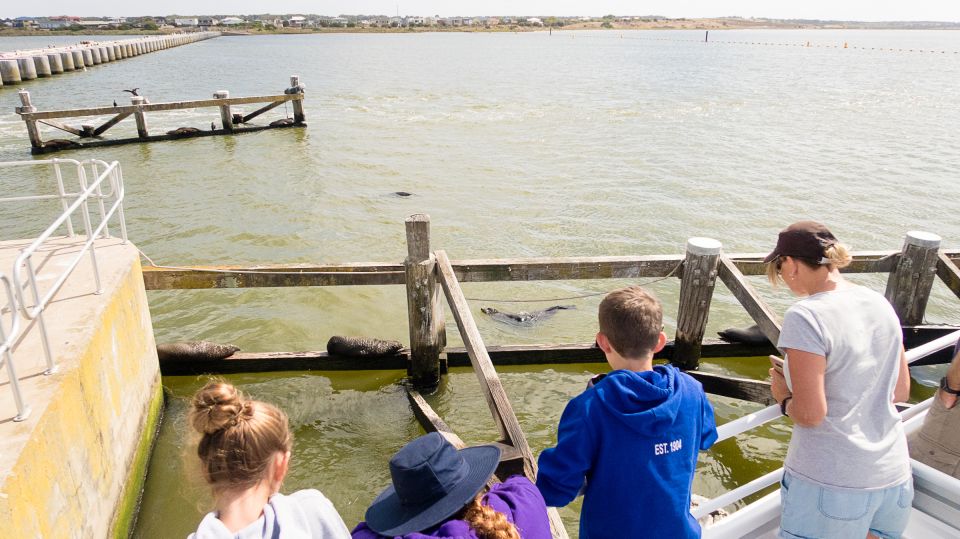 From Goolwa: Half-Day Coorong Experience - Customer Reviews