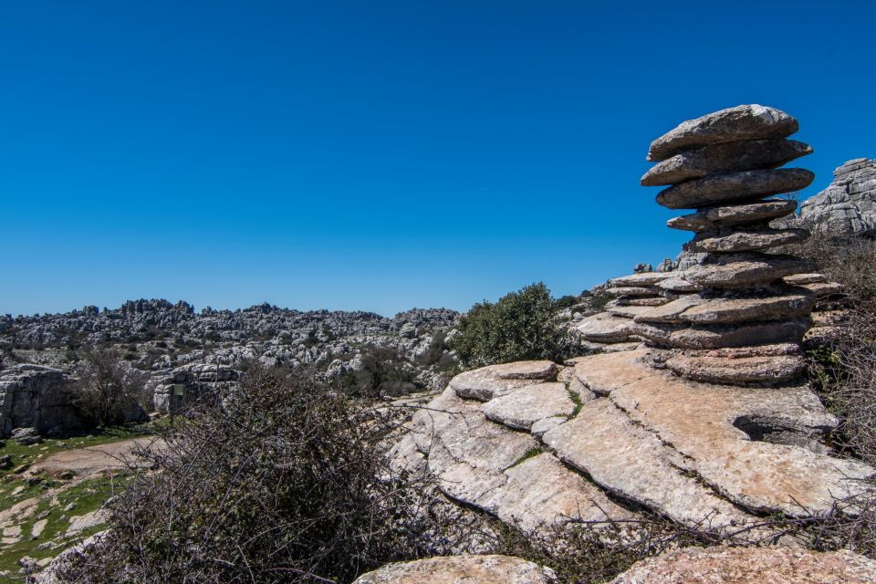 From Granada: Torcal & Antequera Dolmens Archaeological Tour - Participant Selection