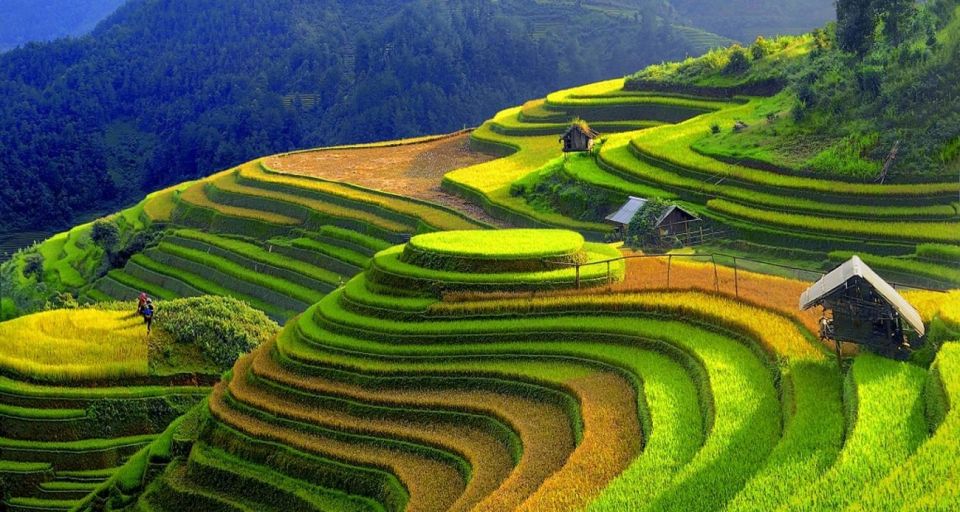 From Hanoi: 2-Day Sapa Town Hiking Tour & Homestay With Food - Itinerary Overview