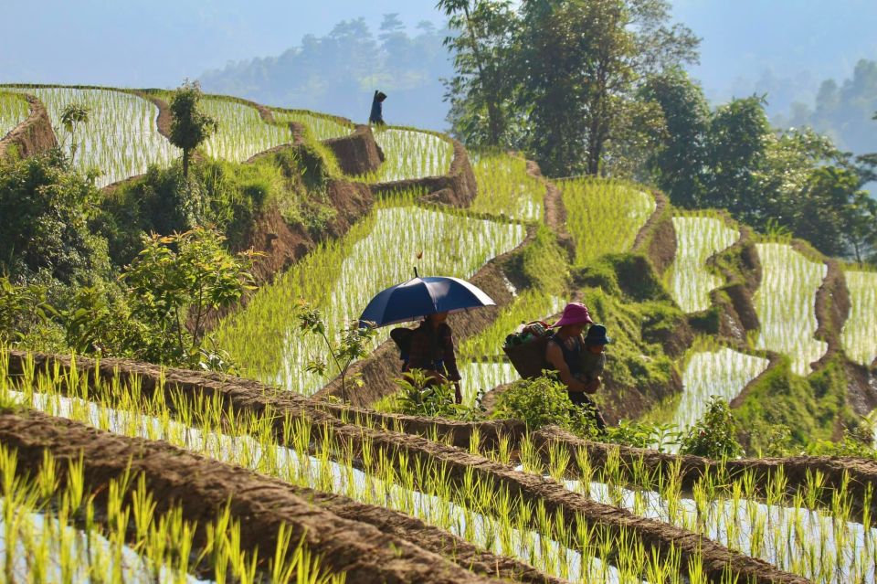 From Hanoi: 4-Day Panorama Of Ha Giang Loop Private Tour - Day 2: Quan Ba – Yen Minh – Dong Van (B/L/D)