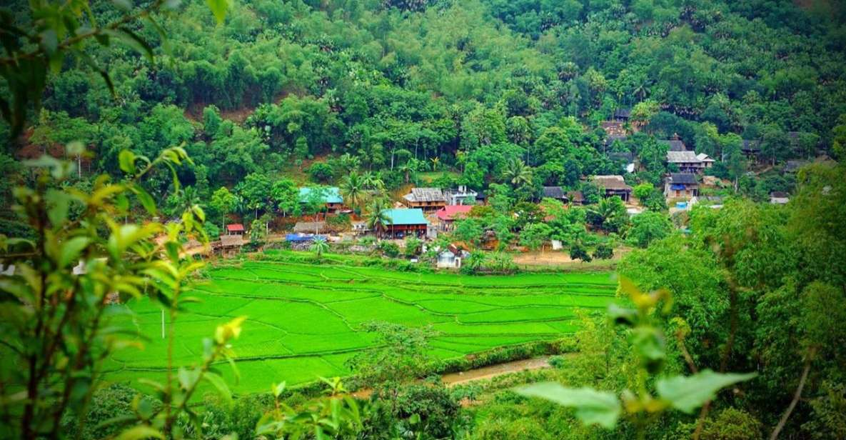 From Hanoi: Mai Chau With Biking To Admire Rice Fields - Engage With Local Culture and Cuisine