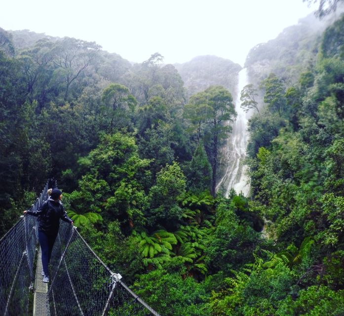 From Hobart: 5-Day Tasmania West & East Coast Tour - National Parks and Nature Walks