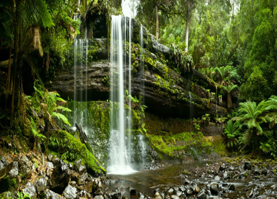 From Hobart: Mt. Field National Park and Russell Falls - Customer Reviews