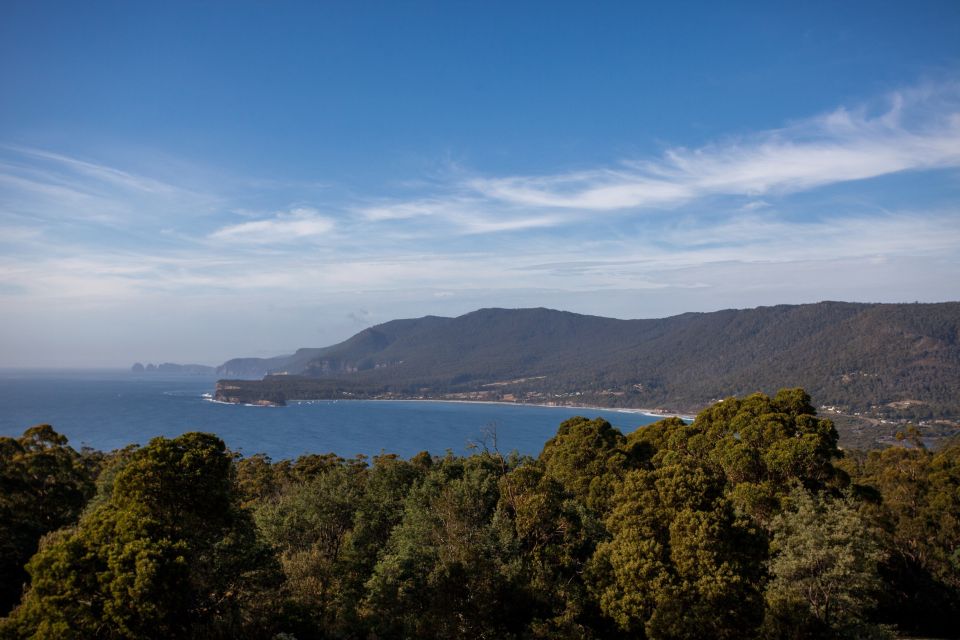 From Hobart: Port Arthur and Tasmanian Devil Unzoo Day Tour - Customer Reviews