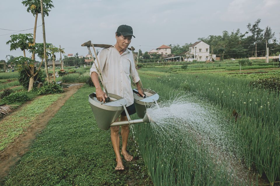 From Hoi An: Half-Day Tra Que Vegetable Village Bike Tour - Inclusions