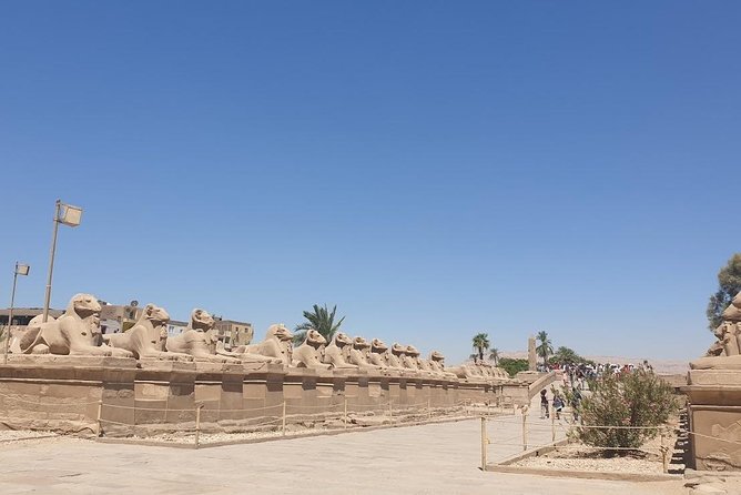 From Hurghada Individual Excursion to Luxor & the Valley of the Kings - Pricing Details and Inclusions