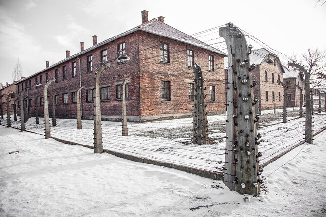 From Krakow: Auschwitz-Birkenau Memorial and Museum Guided Tour - Cancellation and Reviews