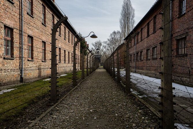 From Kraków: Auschwitz-Birkenau Tour With Lunch Box and Pick up - Common questions