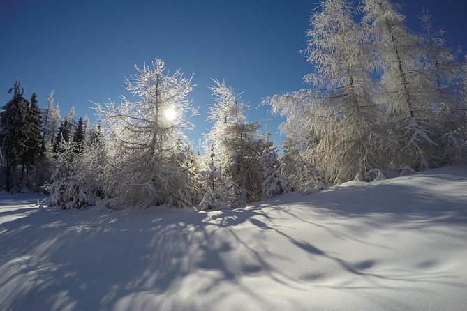 From Krakow: Siepraw Skiing for Beginners - Skiing Lessons Available