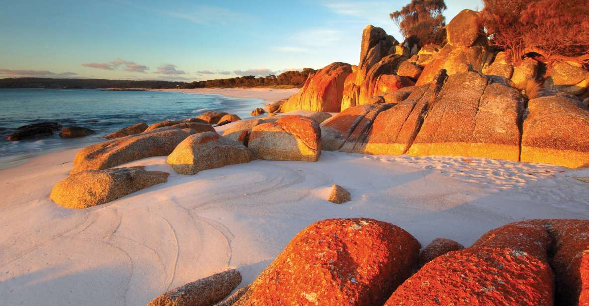 From Launceston: Bay of Fires Hiking Tour - 4 Days - Additional Information
